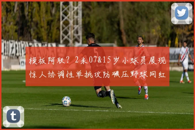 模板阿联？2米07&15岁小球员展现惊人协调性单挑攻防碾压野球网红(1)